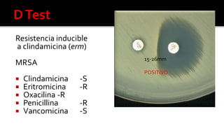 Resistencia inducible
a clindamicina (erm)
MRSA
 Clindamicina -S
 Eritromicina -R
 Oxacilina -R
 Penicillina -R
 Vancomicina -S
15-26mm
POSITIVO
 