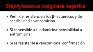  Perfil de resistencia a los β-lactámicos y de
sensibilidad a vancomicina
 Si es sensible a clindamicina: sensibilidad a
eritromicina?
 Si es resistente a vancomicina: confirmación
 