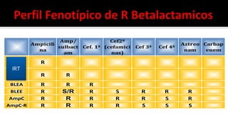 Ampicili
na
Amp/
sulbact
am
Cef. 1ª
Cef2ª
(cefamici
nas)
Cef 3ª Cef 4ª
Aztreo
nam
Carbap
enem
Bajo
Techo
R
Alto
Techo
R R
BLEA R R R
BLEE R S/R R S R R R
AmpC R R R R R S R
AmpC-R R R R R S S S
IRT
 