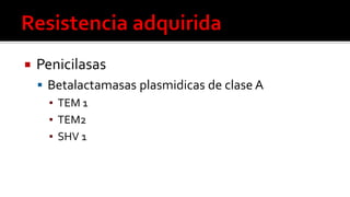  Penicilasas
 Betalactamasas plasmidicas de clase A
▪ TEM 1
▪ TEM2
▪ SHV 1
 