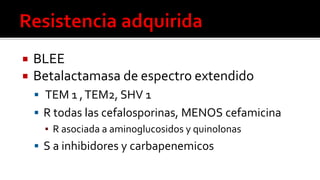  BLEE
 Betalactamasa de espectro extendido
 TEM 1 ,TEM2, SHV 1
 R todas las cefalosporinas, MENOS cefamicina
▪ R asociada a aminoglucosidos y quinolonas
 S a inhibidores y carbapenemicos
 