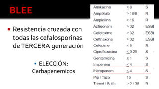  Resistencia cruzada con
todas las cefalosporinas
deTERCERA generación
 ELECCIÓN:
Carbapenemicos
 