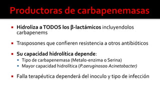  Hidroliza aTODOS los β-lactámicos incluyendolos
carbapenems
 Trasposones que confieren resistencia a otros antibióticos
 Su capacidad hidrolítica depende:
 Tipo de carbapenemasa (Metalo-enzima o Serina)
 Mayor capacidad hidrolítica (P.aeruginosao Acinetobacter)
 Falla terapéutica dependerá del inoculo y tipo de infección
 