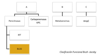 A
Penicilinasas
IRT
BLEE
Carbapenemasas
KPC
B
Metaloenzimas
C
AmpC
Clasificación Funcional Bush -Jacoby
 