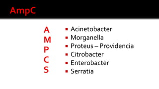  Acinetobacter
 Morganella
 Proteus – Providencia
 Citrobacter
 Enterobacter
 Serratia
 
