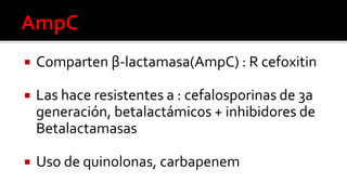  Comparten β-lactamasa(AmpC) : R cefoxitin
 Las hace resistentes a : cefalosporinas de 3a
generación, betalactámicos + inhibidores de
Betalactamasas
 Uso de quinolonas, carbapenem
 