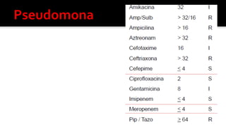 Lectura interpretada del antibiograma parte 2