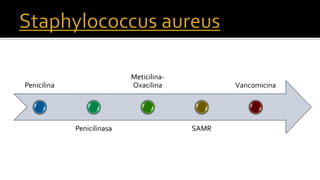 Penicilina
Penicilinasa
Meticilina-
Oxacilina
SAMR
Vancomicina
 