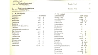 Lectura interpretada del antibiograma parte 2