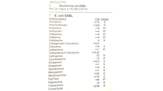 Lectura interpretada del antibiograma parte 2