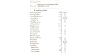 Lectura interpretada del antibiograma parte 2