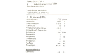 Lectura interpretada del antibiograma parte 2