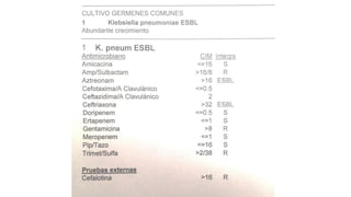 Lectura interpretada del antibiograma parte 2