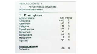 Lectura interpretada del antibiograma parte 2
