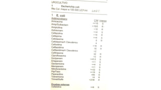 Lectura interpretada del antibiograma parte 2