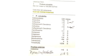 Lectura interpretada del antibiograma parte 2