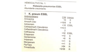 Lectura interpretada del antibiograma parte 2