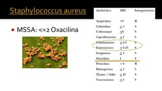  MSSA: <=2 Oxacilina
 