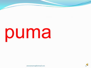 puma14amoramartos@hotmail.com