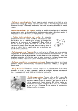 2
- Reflejo de prensión plantar: Puede lograrse cuando rozando con un lápiz la parte
posterior del dedo pulgar del pie, provoca que los dedos se flexionen, llegando incluso
a retener el objeto. Este reflejo desaparece más tarde, aproximadamente a los nueve
meses.
- Reflejo de respuesta a la tracción: Cuando se obtiene la prensión de los dedos de
ambas manos sobre los dedos índice del adulto o sobre una barra del mismo grosor, el
niño es capaz de mantenerse suspendido en todo o parte de su peso.
- Reflejo tónico-asimétrico del cuello: Se encuentra
presente en el recién nacido, cuando el niño/a echado sobre
su espalda, gira la cabeza hacia un lado y mantiene los
brazos en la postura de un "espadachín”. Este reflejo se
observa durante el primer trimestre de vida. La posición
desarrolla la fijación visual del bebé, ya que observa como su
mano se abre, cierra, experimenta las sensaciones que
acontecen a su alrededor.
- Reflejos oculares. a) Palpebral: Es un movimiento de defensa, que surge, cuando
los párpados de los ojos se cierran, si aparece bruscamente una luz intensa o un ruido
fuerte cerca del niño.b)Ojo de muñeca: Aparece a lo largo del primer mes. Cuando se
desplaza la cabeza del niño/niña hacia un lado, los ojos se movilizan hacia el lado
contrario. El reflejo desaparece cuando el niño establece la fijación visual.
- Reflejos secundarios o respuestas posturales: Surgen después de los reflejos
primarios. Integran automatismos y evolución de la conducta del bebé, a lo largo de
toda su vida.
-Reflejo de Landau: Se observa al niño/a suspendido en posición dorsal. El tronco se
endereza, la cabeza se eleva y los pies y brazos se extienden. Aparece alrededor de
los 4 meses y persiste hasta el último trimestre del primer año.
- Reflejo de paracaídas: Aparece entre los 6 y 9 meses. Su
ausencia indica alguna lesión neurológica. Se mantiene al
niño en suspensión ventral, sujeto por los costados y se le
inclina bruscamente hacia delante. El niño/a realiza un
movimiento brusco para protegerse de la caída, con extensión
de los brazos y abertura de las manos A continuación
detallaremos los principales:
 
