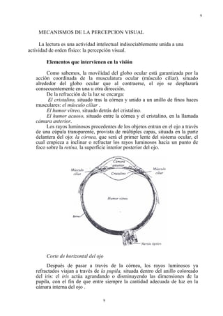 9
9
MECANISMOS DE LA PERCEPCION VISUAL
La lectura es una actividad intelectual indisociablemente unida a una
actividad de orden físico: la percepción visual.
Elementos que intervienen en la visión
Como sabemos, la movilidad del globo ocular está garantizada por la
acción coordinada de la musculatura ocular (músculo ciliar). situado
alrededor del globo ocular que al contraerse, el ojo se desplazará
consecuentemente en una u otra dirección.
De la refracción de la luz se encarga:
El cristalino, situado tras la córnea y unido a un anillo de finos haces
musculares: el músculo ciliar .
El humor vítreo, situado detrás del cristalino.
El humor acuoso, situado entre la córnea y el cristalino, en la llamada
cámara anterior.
Los rayos luminosos procedentes de los objetos entran en el ojo a través
de una cúpula transparente, provista de múltiples capas, situada en la parte
delantera del ojo: la córnea, que será el primer lente del sistema ocular, el
cual empieza a inclinar o refractar los rayos luminosos hacia un punto de
foco sobre la retina, la superficie interior posterior del ojo.
Corte de horizontal del ojo
Después de pasar a través de la córnea, los rayos luminosos ya
refractados viajan a través de la pupila, situada dentro del anillo coloreado
del iris: el iris actúa agrandando o disminuyendo las dimensiones de la
pupila, con el fin de que entre siempre la cantidad adecuada de luz en la
cámara interna del ojo .
 