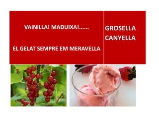 VAINILLA! MADUIXA!......
EL GELAT SEMPRE EM MERAVELLA
GROSELLA
CANYELLA
 