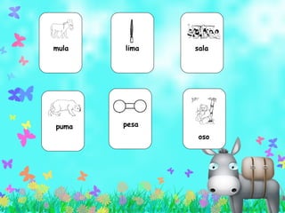 mula lima sala  puma  pesa  oso  