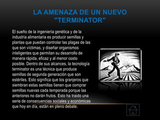 LA AMENAZA DE UN NUEVO
"TERMINATOR"
El sueño de la ingeniería genética y de la
industria alimentaria es producir semillas y
plantas que puedan controlar las plagas de las
que son víctimas, y diseñar organismos
inteligentes que permitan su desarrollo de
manera rápida, eficaz y al menor costo
posible. Dentro de sus alcances, la tecnología
terminator es una técnica que produce
semillas de segunda generación que son
estériles. Esto significa que los granjeros que
siembran estas semillas tienen que comprar
semillas nuevas cada temporada porque las
anteriores no darán frutos. Esto ha traido una
serie de consecuencias sociales y económicas
que hoy en día, están en pleno debate.
 