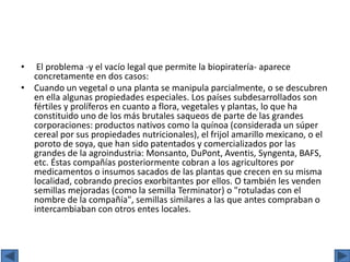 • El problema -y el vacío legal que permite la biopiratería- aparece
concretamente en dos casos:
• Cuando un vegetal o una planta se manipula parcialmente, o se descubren
en ella algunas propiedades especiales. Los países subdesarrollados son
fértiles y prolíferos en cuanto a flora, vegetales y plantas, lo que ha
constituido uno de los más brutales saqueos de parte de las grandes
corporaciones: productos nativos como la quínoa (considerada un súper
cereal por sus propiedades nutricionales), el frijol amarillo mexicano, o el
poroto de soya, que han sido patentados y comercializados por las
grandes de la agroindustria: Monsanto, DuPont, Aventis, Syngenta, BAFS,
etc. Éstas compañías posteriormente cobran a los agricultores por
medicamentos o insumos sacados de las plantas que crecen en su misma
localidad, cobrando precios exorbitantes por ellos. O también les venden
semillas mejoradas (como la semilla Terminator) o "rotuladas con el
nombre de la compañía", semillas similares a las que antes compraban o
intercambiaban con otros entes locales.
 