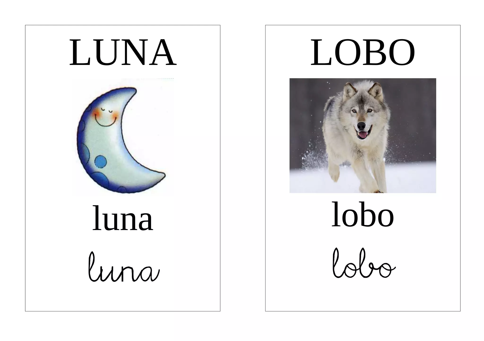 LUNA   LOBO



luna   lobo
luna   lobo
 