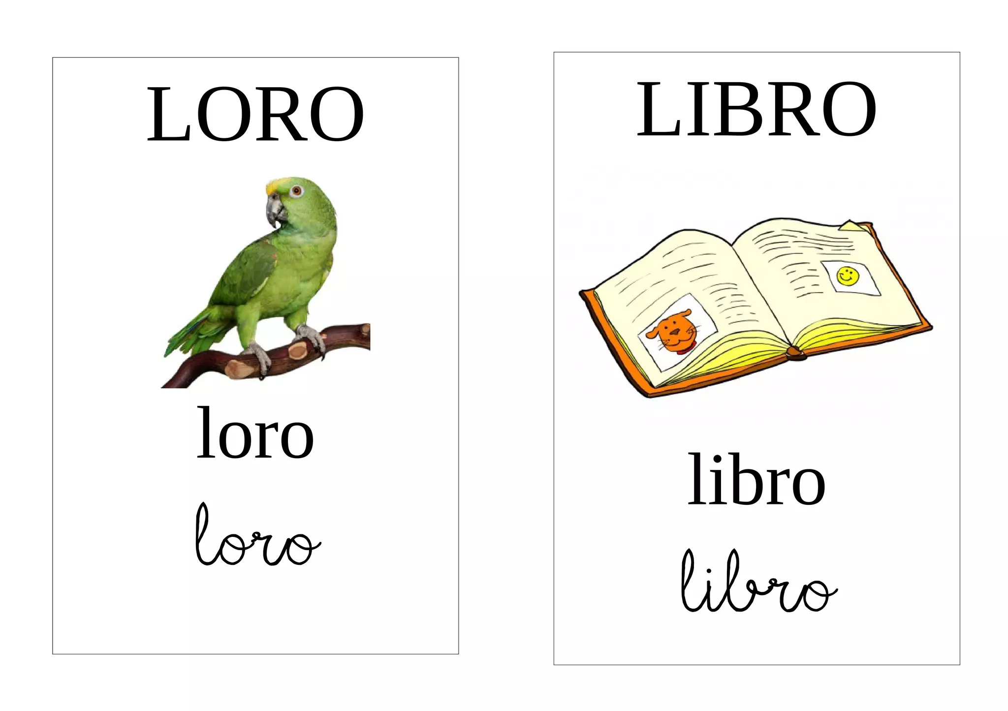 LORO   LIBRO


loro
        libro
loro   libro
 
