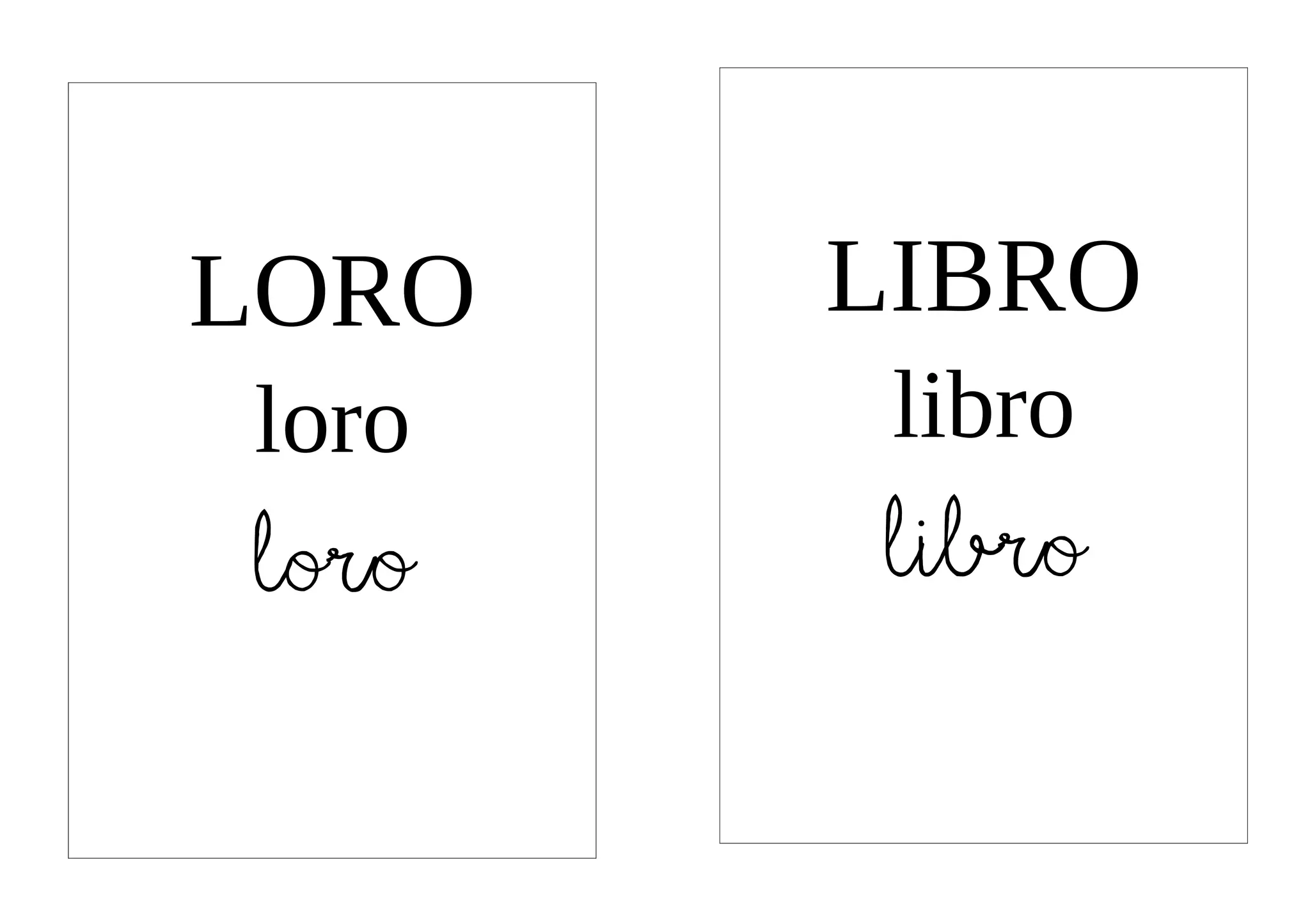 LORO   LIBRO
loro    libro
loro   libro
 