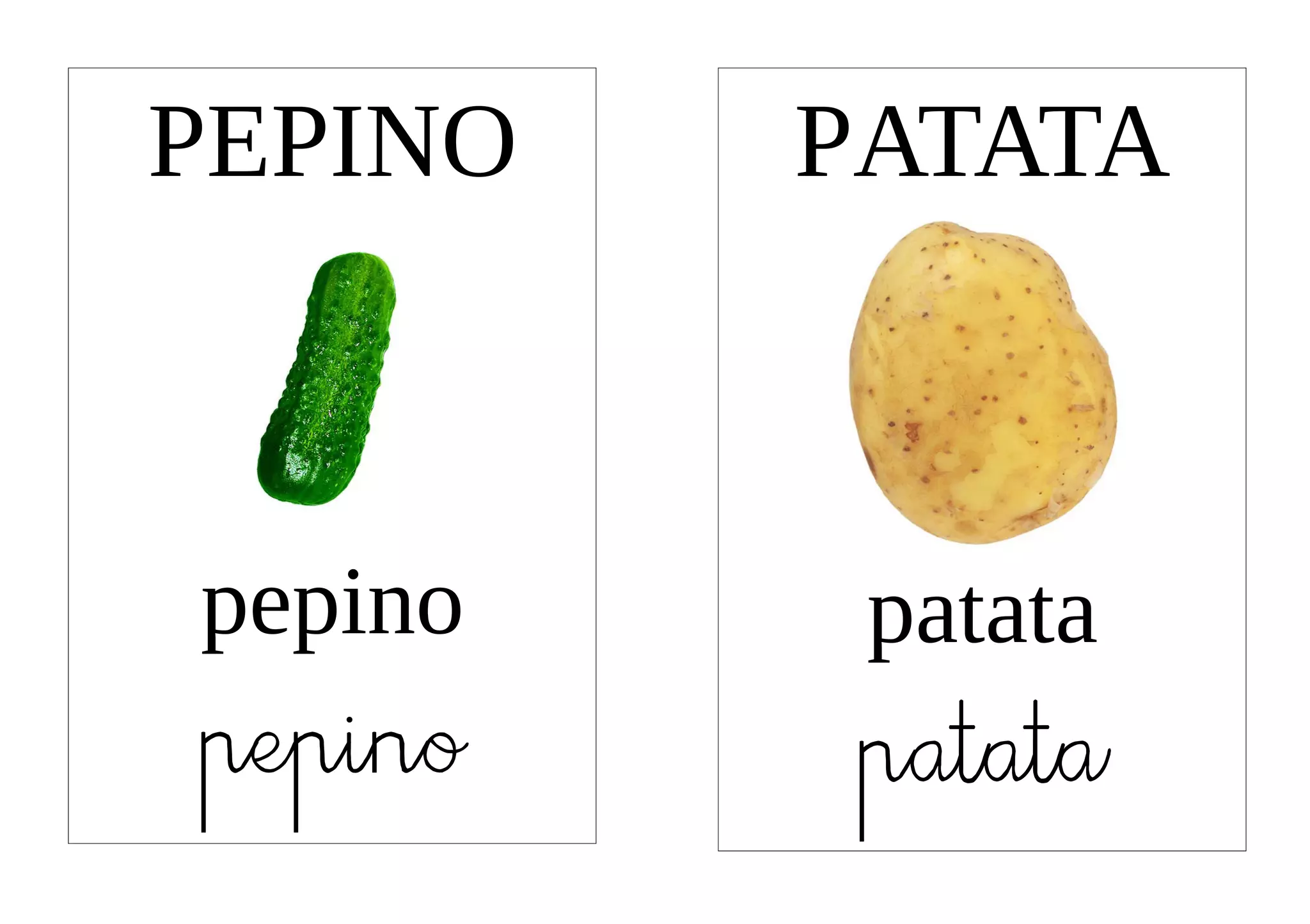 PEPINO   PATATA



pepino    patata
pepino    patata
 
