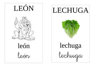 LEÓN   LECHUGA



león    lechuga
león    lechuga
 