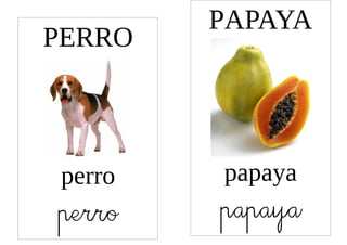 PAPAYA
PERRO



perro   papaya
perro   papaya
 