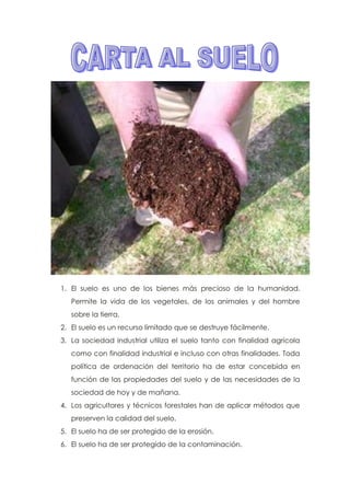 1. El suelo es uno de los bienes más precioso de la humanidad.
Permite la vida de los vegetales, de los animales y del hombre
sobre la tierra.
2. El suelo es un recurso limitado que se destruye fácilmente.
3. La sociedad industrial utiliza el suelo tanto con finalidad agrícola
como con finalidad industrial e incluso con otras finalidades. Toda
política de ordenación del territorio ha de estar concebida en
función de las propiedades del suelo y de las necesidades de la
sociedad de hoy y de mañana.
4. Los agricultores y técnicos forestales han de aplicar métodos que
preserven la calidad del suelo.
5. El suelo ha de ser protegido de la erosión.
6. El suelo ha de ser protegido de la contaminación.
 
