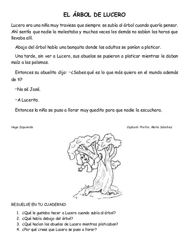 lectura y preguntas de comprension lectora primaria lecturas de comprension lectura y preguntas de comprension lectora primaria lecturas de comprension
