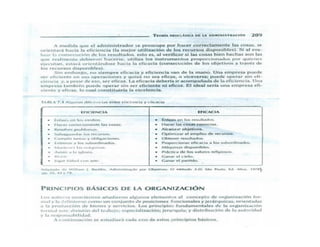 LECTURAS DE LA CLASE (jaiver)