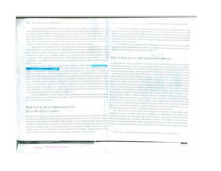 LECTURAS DE LA CLASE (jaiver)