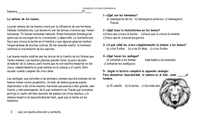 Awesome Lectura Comprensiva Cuarto Primaria Pictures - Casas: Ideas ... Awesome Lectura Comprensiva Cuarto Primaria Pictures - Casas: Ideas ...