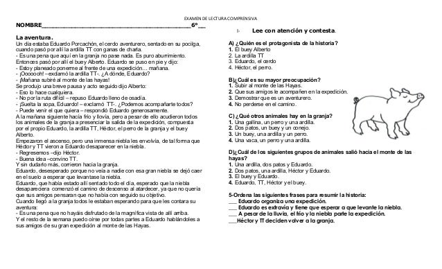 Awesome Lectura Comprensiva Cuarto Primaria Pictures - Casas: Ideas ... Awesome Lectura Comprensiva Cuarto Primaria Pictures - Casas: Ideas ...