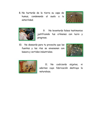 8. No hurtarás de la tierra su capa de
humus, condenando al suelo a la
esterilidad.
9. No levantarás falsos testimonios
justificando tus crímenes con lucro y
progreso.
10. No desearás para tu provecho que las
fuentes y los ríos se envenenen con
basura y vertidos industriales.
11. No codiciarás objetos, ni
adornos cuya fabricación destruya la
naturaleza.
 