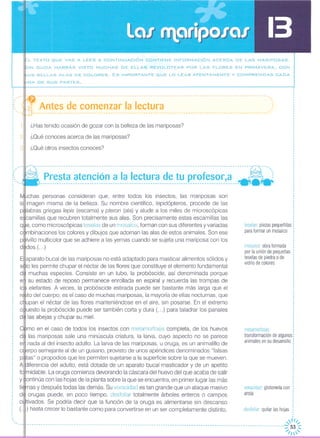 I
,
teselas piezas pequeñitas:
para formar un mosaico :.,
,
,
mosaico obra formada :
por la unión de pequeñas 1
teselas de piedra o de
vidrio de colores
I
,
1
,
,
metamorfosis: :
transformación de algunos:
animales en su desarrollo
voracidad glotonería con
ansia
desfoliar quitar las hojas
Antes de comenzar la lectura
--------------------------------------------------------------------------------------------------.
,,.,
.,
¿Has tenido ocasión de gozar con la belleza de las mariposas?
¿Oué conoces acerca de las mariposas?
¿Oué otros insectos conoces?
--------------------------~-~---------------------------------------------------------~----- ---.'"
- .. Presta atenclon a la lectura de tu profesor,a - :------------------------------------------------------------------------------------- - -
2
3
chas personas consideran que, entre todos los insectos, las mariposas son
imagen misma de la belleza, Su nombre científico, lepidópteros, procede de las
p labras griegas /epis (escama) y pteron (ala) y alude a los miles de microscópicas
e camillas que recubren totalmente sus alas. Son precisamente estas escamillas las
q e, como microscópicas teselas de un mosaico, forman con sus diferentes y variadas
c mbinaciones los colores y dibujos que adornan las alas de estos animales. Son ese
p lvillo multicolor que se adhiere a las yemas cuando se sujeta una mariposa con los
d dos.( ...)
_L TEXTO QUE VAS A LEER A CONTINUACiÓN CONTIENE INFORMACiÓN ACERCA DE LAS MARIPOSAS.
IN DUDA HABRÁS VISTO MUCHAS DE ELLAS REVOLOTEAR POR LAS FLORES EN PRIMAVERA, CON
US BELLAS ALAS DE COLORES. Es IMPORTANTE QUE LO LEAS ATENTAMENTE Y COMPRENDAS CADA
,
fI/,- '"
- - - - -- - - - - -- - - - - - - - - - - - -- - - - - - - - -- - - - - - - - - --- - - - - -- --- --- --- -- --- --- -- - -- - -- --- --- -- - -- --- -- - -- - - - - -- -- - - - ----:;/ ~~~
E aparato bucal de las mariposas no está adaptado para masticar alimentos sólidos y
s lo les permite chupar el néctar de las flores que constituye el elemento fundamental
d muchas especies. Consiste en un tubo, la probóscide, así denominada porque
e su estado de reposo permanece enrollada en espiral y recuerda las trompas de
1 elefantes. A veces, la probóscide estirada puede ser bastante más larga que el
r to del cuerpo; es el caso de muchas mariposas, la mayoría de ellas nocturnas, que
c upan el néctar de las flores manteniéndose en el aire, sin posarse. En el extremo
o uesto la probóscide puede ser también corta y dura (...) para taladrar los panales
d las abejas y chupar su miel.
mo en el caso de todos los insectos con metamorfosis completa, de los huevos
d las mariposas sale una minúscula criatura, la larva, cuyo aspecto no se parece
e nada al del insecto adulto. La larva de las mariposas, u oruga, es un animalillo de
c erpo semejante al de un gusano, provisto de unos apéndices denominados "falsas
p tas" o propodios que les permiten sujetarse a la superficie sobre la que se mueven.
A iferencia del adulto, está dotada de un aparato bucal masticador y de un apetito
f midable, La oruga comienza devorando la cáscara del huevo del que acaba de salir
y ontinúa con las hojas de la planta sobre la que se encuentra, en primer lugar las más
ti rnas y después todas las demás. Su voracidad es tan grande que un ataque masivo
d orugas puede, en poco tiempo, desfoliar totalmente árboles enteros o campos
c ltivados. Se podría decir que la función de la oruga es alimentarse sin descanso
(, .) hasta crecer lo bastante como para convertirse en un ser completamente distinto,
,
,
,
,
, -
"""
..
:...
,
,
,
I
,
,
,
,
,
,
,
,
,
,
,
,
,,
,
,
,
,
,
, ,"
o,
I
,
,
.,
 