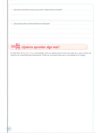 ,·
------------------------------------------------------------------------------------------------------------------ ... ,,,·
15, ¿Qué otros animales conoces que sufran metamorfosis completa?
r------ - - ---- ------------------- ..----------- --- ..----- -----------------------------------------------,
16, ¿Oué opinas de los coleccionistas de mariposas?
··,
·
·,
,
·
··
· ~
:(:--~ - ---:i~~i;;;f"~~--é1-¡;;:~;;;j~-f"-~i;¡;~-;;;;;¡~~-------------------------------------:)'-------- --- ----------------------------------------------------------------------------------------------
En este libro de Maurizio Pavesi encontrarás cómo se desenvuelve la forma de vida de un gran número de
insectos con unas bellísimas ilustraciones, Podría ser una buena idea que lo consultaras en tu colegio,
,,
,
,
,
·,
·
,
,
,
,
,
,
,
,
,
,
,
,
,
.
 