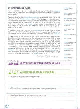 .•. ---------------------------------------------------------------------------------- .. - - - ------------- .
,,,
LA ENREDADERA DE PASiÓN suculento: jugoso,
nutritivo
,·,
,
,
··
Hay una planta trepadora, la enredadera de Pasión, cuyas hojas son un suculento
manjar para las mariposas o, mejor dicho, para las orugas que más tarde se convertirán
en mariposas.
Para defenderse de esas devoradoras insaciables, la enredadera sintetiza un veneno
natural, semejante al ácido cianhídrico, que evita que los glotones gusanazos acaben
con sus hojas; si comen se mueren, y por la cuenta que les tiene no prueban bocado.
Pero una subespecie de mariposa, la Heliconius, se ha hecho resistente contra ese
veneno; de manera que la muy pérfida pone sus huevos en la enredadera para que
así sus hijas orugas, en cuanto que asomen la cabeza, puedan pegarse grandes
atracones con el verde.
Ahora bien, no se crean que esa feroz escaramuza de la naturaleza se detiene
aquí, porque la planta de la Pasión ha sido capaz de encontrar una técnica sutil de
contraataque. Resulta que las orugas Heliconius, como muchas otras, son caníbales.
O sea, que en su frenesí por crecer y mudar y dejar de ser unos bichejos asquerosos y
convertirse en bellas mariposas, en su afán por tragar, se comen todo lo que les caiga
por delante: desde las hojas envenenadas hasta hermanas orugas más pequeñas. Por
eso, las madres mariposas ponen sus huevos aislados, de uno en uno, bien pegados
a los tallos de la enredadera, pero separados por el suficiente espacio como para que
la primera oruga que aparezca no devore inmediatamente a las demás. Pues bien, la
planta de Pasión falsifica esos huevos: llena sus tallos de diminutas protuberancias
delicadamente coloreadas en amarillo, con la punta translúcida, una copia perfecta y
primorosa de los huevos de heliconia, una verdadera obra maestra del fraude natural;
y así, la mariposa, al encontrar todo el espacio ya ocupado por una progenie amiga,
se marcha a buscar otra enredadera más propicia para su prole.
Rosa Montera. El País Semanal. Adaptación.
devorar tragar con ansia y
apresuradamente
insaciable que no se harta
de bebida o de comida
ácido cianidrico veneno
muy potente
pérfida: traidora, infiel,
desleal
escaramuza riña o disputa,
sutil: ingeniosa
caníbal animal que come
carne de otros de su
misma especie
primorosa excelente,
del icado y perfecto
fraude engaño
propicia: favorable
1. ¿Ouiénes son los protagonistas del primer texto?
2. ¿Cómo se llaman la planta y la mariposa protagonistas del segundo texto?
3. ¿Según Piero Bianucci, de qué se preocupa la naturaleza? ..
",. ~- ---:- - -- - --- -_ - __ - o 0 0 0 '"
:, --- -.- Vuelve a leer silenciosamente el texto ,:, ,- ..... ----------------------------------------------------------------------------------------'"
",.---R-~ ------------------------------------------------------------------------o - - - - - - - - - o - - - -, ":'" _ ~ _ ~ ~~o~ p_~~_~_~~o ~~ _ o~_~_~o o ~~~ ~~~~~_i_~~ o o o , ,,)
,,
,
,
,
,
,
,
,
,
,
,,,
,
,
,
,
---------------------------------------------------------------------------------------- J
,
,
,,,
,
,
,
,
,
,
1
--- - ---- --- ------ ------------------------------------------------------------ .•. ------ - .........• _--_ .. _~
,
,,
,,
I
 