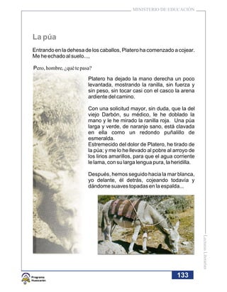 MINISTERIO DE EDUCACIÓN




La púa
Entrando en la dehesa de los caballos, Platero ha comenzado a cojear.
Me he echado al suelo...,

Pero, hombre, ¿qué te pasa?

                         Platero ha dejado la mano derecha un poco
                         levantada, mostrando la ranilla, sin fuerza y
                         sin peso, sin tocar casi con el casco la arena
                         ardiente del camino.

                         Con una solicitud mayor, sin duda, que la del
                         viejo Darbón, su médico, le he doblado la
                         mano y le he mirado la ranilla roja. Una púa
                         larga y verde, de naranjo sano, está clavada
                         en ella como un redondo puñalillo de
                         esmeralda.
                         Estremecido del dolor de Platero, he tirado de
                         la púa; y me lo he llevado al pobre al arroyo de
                         los lirios amarillos, para que el agua corriente
                         le lama, con su larga lengua pura, la heridilla.

                         Después, hemos seguido hacia la mar blanca,
                         yo delante, él detrás, cojeando todavía y
                         dándome suaves topadas en la espalda...


                                                                            Lecturas Literarias




                                                                133
 