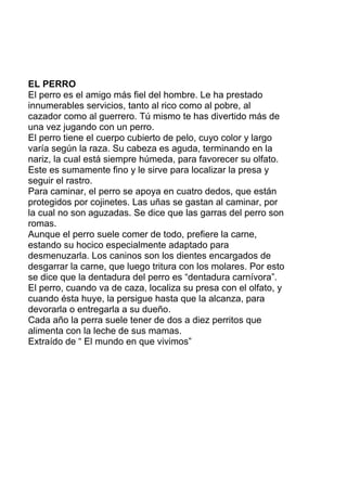 EL PERRO
El perro es el amigo más fiel del hombre. Le ha prestado
innumerables servicios, tanto al rico como al pobre, al
cazador como al guerrero. Tú mismo te has divertido más de
una vez jugando con un perro.
El perro tiene el cuerpo cubierto de pelo, cuyo color y largo
varía según la raza. Su cabeza es aguda, terminando en la
nariz, la cual está siempre húmeda, para favorecer su olfato.
Este es sumamente fino y le sirve para localizar la presa y
seguir el rastro.
Para caminar, el perro se apoya en cuatro dedos, que están
protegidos por cojinetes. Las uñas se gastan al caminar, por
la cual no son aguzadas. Se dice que las garras del perro son
romas.
Aunque el perro suele comer de todo, prefiere la carne,
estando su hocico especialmente adaptado para
desmenuzarla. Los caninos son los dientes encargados de
desgarrar la carne, que luego tritura con los molares. Por esto
se dice que la dentadura del perro es “dentadura carnívora”.
El perro, cuando va de caza, localiza su presa con el olfato, y
cuando ésta huye, la persigue hasta que la alcanza, para
devorarla o entregarla a su dueño.
Cada año la perra suele tener de dos a diez perritos que
alimenta con la leche de sus mamas.
Extraído de “ El mundo en que vivimos”
 