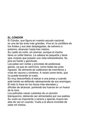 EL CÓNDOR
El Cóndor, que figura en nuestro escudo nacional,
es una de las aves más grandes. Vive en la cordillera de
los Andes y sus alas desplegadas, de extremo a
extremo, alcanzan hasta tres metros.
Su cuello es corto, sin plumas, aunque el macho
tiene un collar blanco. La cabeza es pequeña y tiene
ojos vivaces que poseen una vista extraordinaria. Su
pico es fuerte y ganchudo.
Las patas son cortas y provistas de poderosas
garras, ya que es carnívoro, como todas las aves
rapaces. Se alimenta de cadáveres de mamíferos y
crías de vacuno y corderos. A veces come tanto, que
no puede levantar el vuelo.
Es muy desconfiado al atacar a una presa y cuando
está herido se defiende rabiosamente de sus enemigos.
El nido lo hace en los riscos más elevados y
difíciles de alcanzar, poniendo los huevos en un hueco
de la roca.
Los polluelos nacen cubiertos de un plumón
blanquecino, debiendo ser alimentados por sus padres.
Su vuelo es imponente y sereno y apenas mueve las
alas de vez en cuando. Vuela a la altura increíble de
siete mil metros.
 
