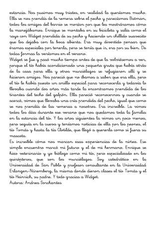 estancia. Nos pusimos muy tristes, en realidad la queríamos mucho.
Ella se nos prendía de la remera sobre el pecho y parecíamos Batman,
todos los amigos del barrio se morían por que les mostráramos cómo
la manejábamos. Enrique se montaba en su bicicleta y salía como el
rayo con Widget prendida de su pecho y haciendo un chillido suavecito
que los dejaba con la boca abierta. Era muy divertido pensar que
éramos especiales por tenerla, pero se tenía que ir, era por su bien. De
todas formas la veríamos en el verano.
Widget se fue y pasó mucho tiempo antes de que la volviésemos a ver,
porque el tío había acondicionado una pequeña gruta que había atrás
de la casa para ella y otros murciélagos se refugiaron allí y se
hicieron amigos. Nos pareció que no íbamos a saber que era ella, pero
el tío le había puesto un anillo especial para reconocerla y todavía lo
llevaba cuando dos años más tarde la encontramos prendida de los
tirantes del techo del galpón. Ella pareció reconocernos y cuando se
acercó, vimos que llevaba una cría prendida del pecho, igual que como
se nos prendía de las remeras a nosotros. Era increíble. La vimos
todos los días durante ese verano que nos quedamos toda la familia
en la estancia del tío. Y los años siguientes la vimos un poco menos,
pero seguía en la cueva y teníamos noticias de ella por los peones, el
tío Tomás y hasta la tía Clotilde, que llegó a quererla como si fuera su
mascota.
Es increíble cómo nos marcan esas experiencias de la niñez. Ese
simple encuentro marcó mi futuro y el de mi hermano. Enrique se
hizo veterinario y yo biólogo como mi tío, pero especializado en los
quirópteros, que son los murciélagos. Soy catedrático en la
Universidad de San Pablo y profesor consultante en la Universidad
Erlangen-Nüremberg, la misma donde dieron clases el tío Tomás y el
tío Heinrich, su padre. Y todo gracias a Widget.
Autora: Andrea Sorchantes
 