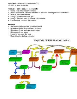 = 9490 Kwhe (eficiencia 30 % en motores C.I.) 
= 7.304 lt de agua recuperada 
Productos obtenidos por el proyecto 
• Carne para alimentación humana 
• Harina de lombriz; similar a la harina de pescado en composición, sin histidina 
• Humus, fertilizante natural 
• Energía para calefacción; gas 
• Energía eléctrica para motores e instalaciones 
• Cochinilla de carmín a bajo costo 
Ventajas 
• Bajo costo de instalación y mantenimiento 
• Almacenamiento de energía en biomasa 
• Recuperación de suelos y zonas áridas 
• Recuperación de agua 
• Intensivo en mano de obra 
• Diversificación de la producción 
 